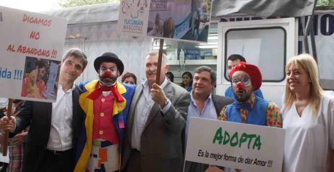 jaldo-mascotas-lules