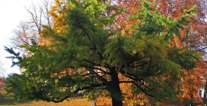 590649_201405152020420000002