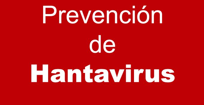 HANTAVIRUS