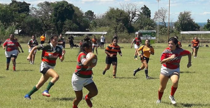 55455439_2204031879849411_4186983309848346624_n