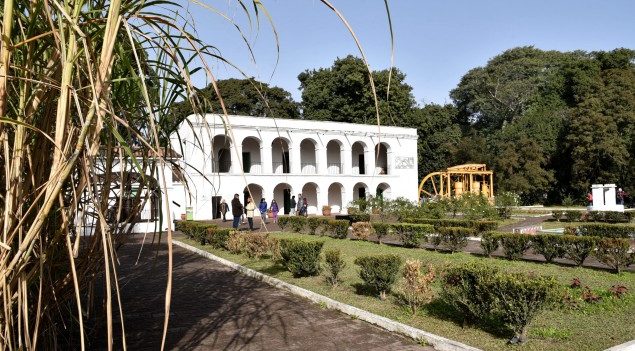 Mi proyecto agroindustrial